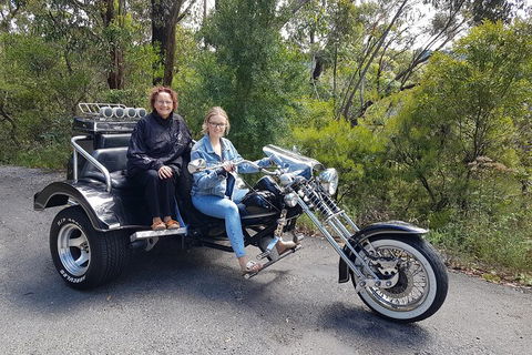 Blue Mountains 1-Hour Trike Tour Of Three Sisters - Inverell Accommodation 1