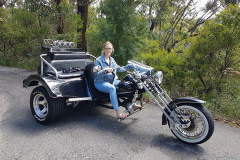 Blue Mountains 1-Hour Trike Tour Of Three Sisters - Inverell Accommodation 4