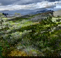 3-Day Tour to the Falls Mountains Lake  More of West Coast Tasmania - Inverell Accommodation