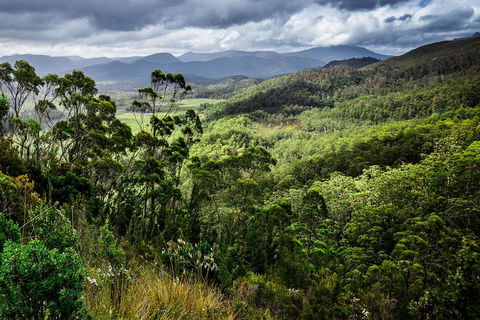 3-Day Tour To The Falls, Mountains, Lake & More Of West Coast Tasmania - Inverell Accommodation 0