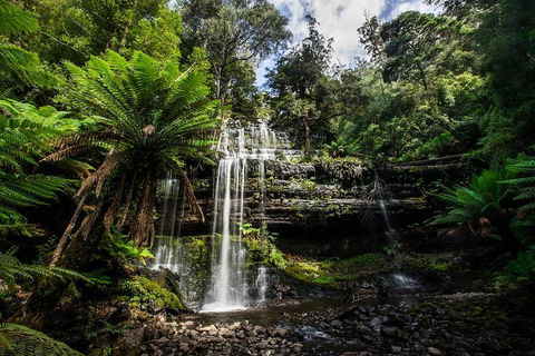 3-Day Tour To The Falls, Mountains, Lake & More Of West Coast Tasmania - Inverell Accommodation 4