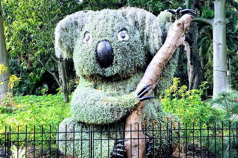 Discover Sydney - Botanic - Inverell Accommodation 1