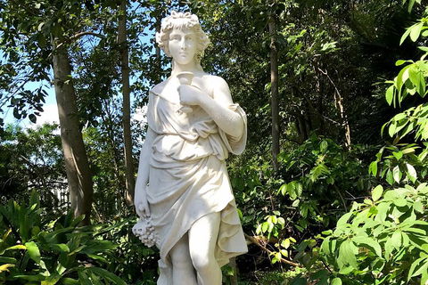 Discover Sydney - Botanic - Inverell Accommodation 2