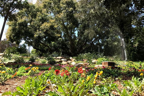 Discover Sydney - Botanic - Inverell Accommodation 3