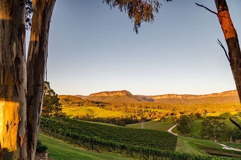 Taste Of The Blue Mountains - Lunch & Wine Tasting, Beer, Cider & Gin Tasting - Inverell Accommodation 1
