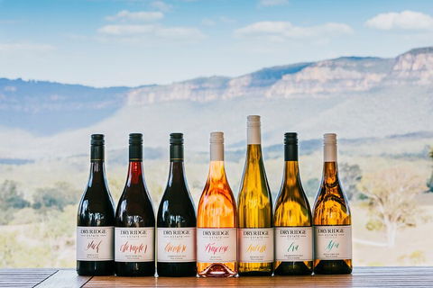 Taste Of The Blue Mountains - Lunch & Wine Tasting, Beer, Cider & Gin Tasting - Inverell Accommodation 3