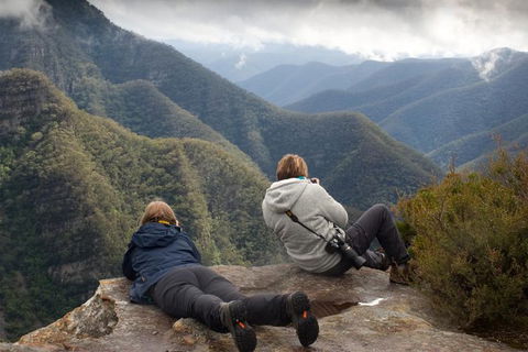 Inside The Greater Blue Mountains World Heritage - A Private Wildlife Safari Overnight - Inverell Accommodation 0