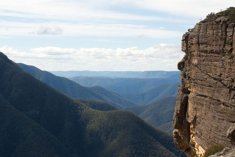 Inside The Greater Blue Mountains World Heritage - A Private Wildlife Safari Overnight - Inverell Accommodation 4