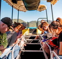 Airlie Beach Glass Bottom Boat Tour - Inverell Accommodation
