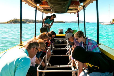 Airlie Beach Glass Bottom Boat Tour - Inverell Accommodation 1
