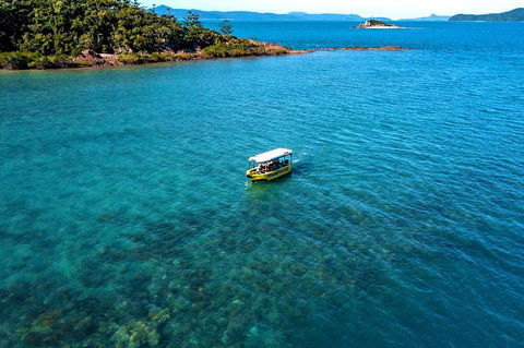 Airlie Beach Glass Bottom Boat Tour - Inverell Accommodation 4