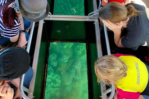 Airlie Beach Glass Bottom Boat Tour - Inverell Accommodation 5