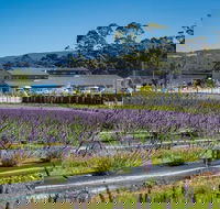 Private Hobart Discover South East Food and Scenic Tour - Inverell Accommodation