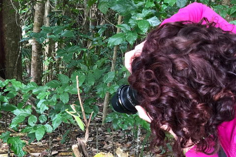 Let's Go Buggin & Let's Go Shroomin - Photography & Nature Walking Tours - Inverell Accommodation 1