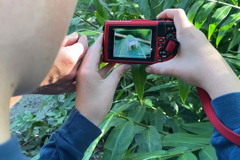 Let's Go Buggin & Let's Go Shroomin - Photography & Nature Walking Tours - Inverell Accommodation 2