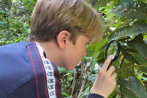 Let's Go Buggin & Let's Go Shroomin - Photography & Nature Walking Tours - Inverell Accommodation 3