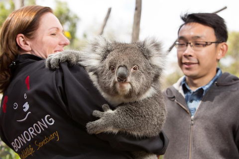 Bonorong Wildlife Park And Richmond Afternoon Tour From Hobart - Inverell Accommodation 0