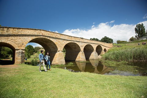 Bonorong Wildlife Park And Richmond Afternoon Tour From Hobart - Inverell Accommodation 2