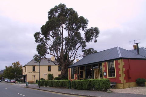 Bonorong Wildlife Park And Richmond Afternoon Tour From Hobart - Inverell Accommodation 3