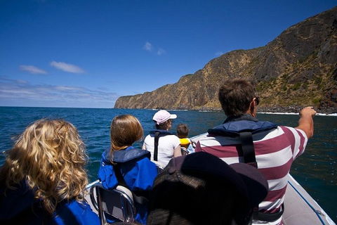 Seal Island Boat Tour From Victor Harbor - Inverell Accommodation 0
