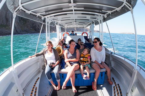 Seal Island Boat Tour From Victor Harbor - Inverell Accommodation 1