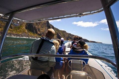 Seal Island Boat Tour From Victor Harbor - Inverell Accommodation 2