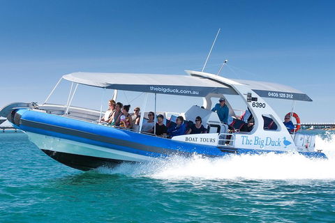 Seal Island Boat Tour From Victor Harbor - Inverell Accommodation 3