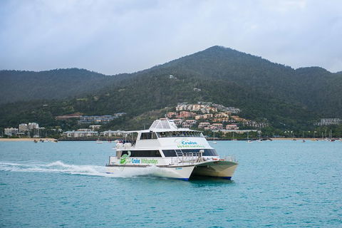 Whitsunday Islands Hopper Pass - Inverell Accommodation 4