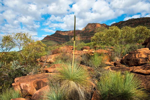 6-Day Eyre Peninsula & Flinders Ranges Adventure Tour - Inverell Accommodation 1