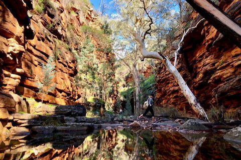 10-Day Adelaide To Perth Adventure Tour - Inverell Accommodation 5