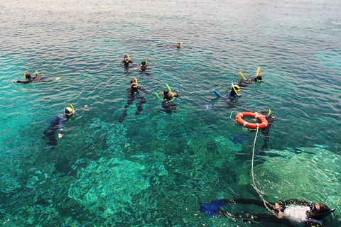 Seastar Luxury Outer Great Barrier Reef Island And Reef Tour From Cairns - Inverell Accommodation 2
