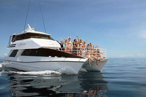 Seastar Luxury Outer Great Barrier Reef Island And Reef Tour From Cairns - Inverell Accommodation 4