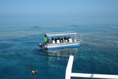 Seastar Luxury Outer Great Barrier Reef Island And Reef Tour From Cairns - Inverell Accommodation 5