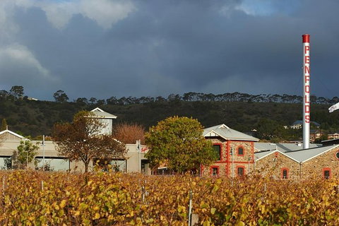 Penfolds Magill Estate Iconic Experience - Inverell Accommodation 3