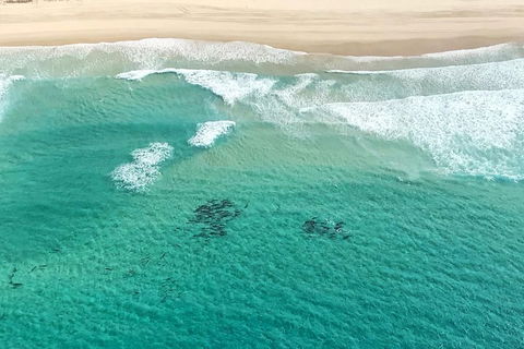 Coastal Helicopter Shared Flight - 20 Minutes - Inverell Accommodation 4