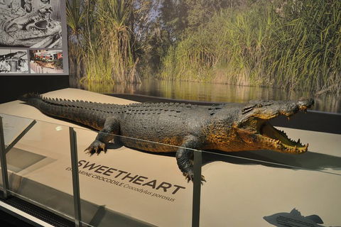 Explore Darwin City Sights Including Key Attractions - Inverell Accommodation 2