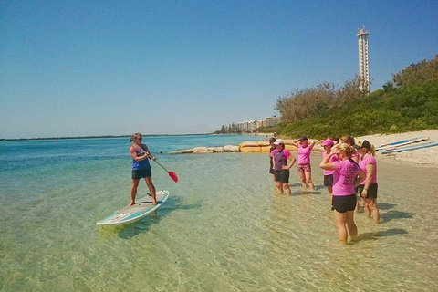 Golden Beach 1-Hour Stand-Up Paddleboard Hire On The Sunshine Coast - Inverell Accommodation 1