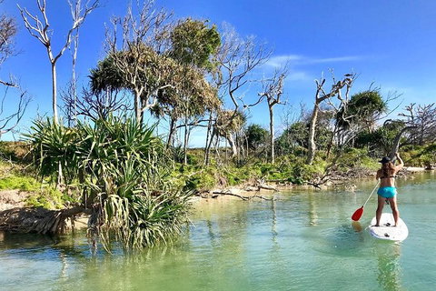 Golden Beach 1-Hour Stand-Up Paddleboard Hire On The Sunshine Coast - Inverell Accommodation 5
