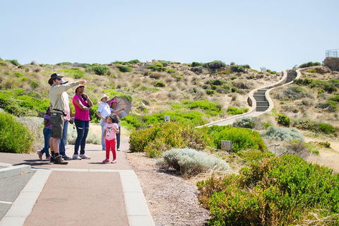 Margaret River Coastal And Wildlife Eco Trip From Busselton Or Dunsborough - Inverell Accommodation 0