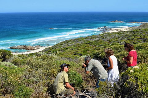 Margaret River Coastal And Wildlife Eco Trip From Busselton Or Dunsborough - Inverell Accommodation 2
