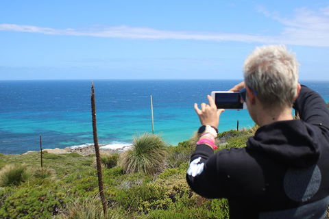 Margaret River Coastal And Wildlife Eco Trip From Busselton Or Dunsborough - Inverell Accommodation 3