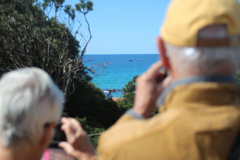 Margaret River Coastal And Wildlife Eco Trip From Busselton Or Dunsborough - Inverell Accommodation 5